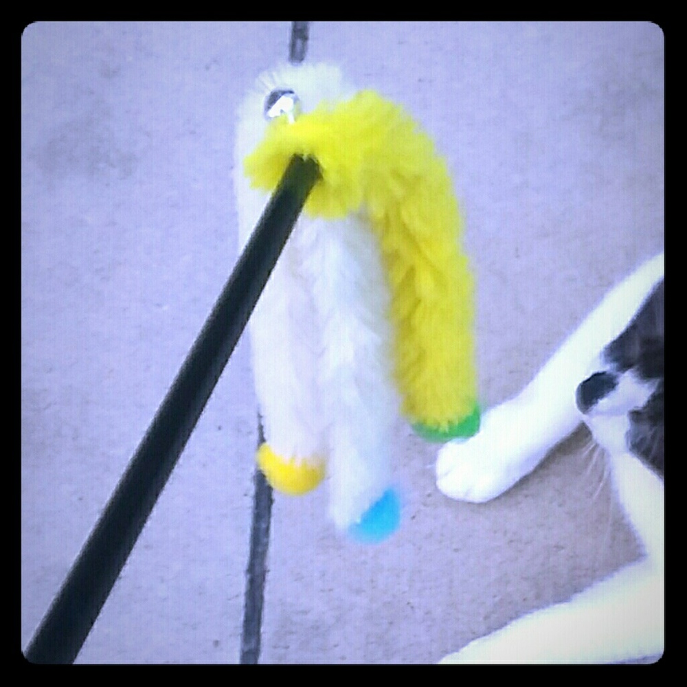 Cat toy